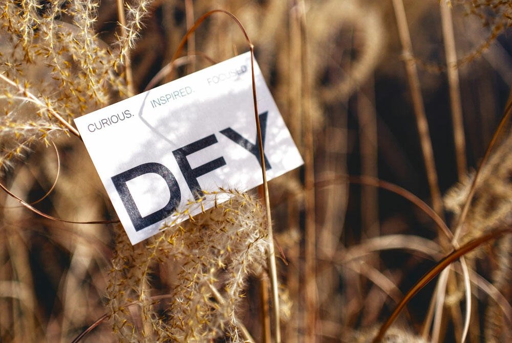 Close up of a Plant With a Tag on It (Demo)