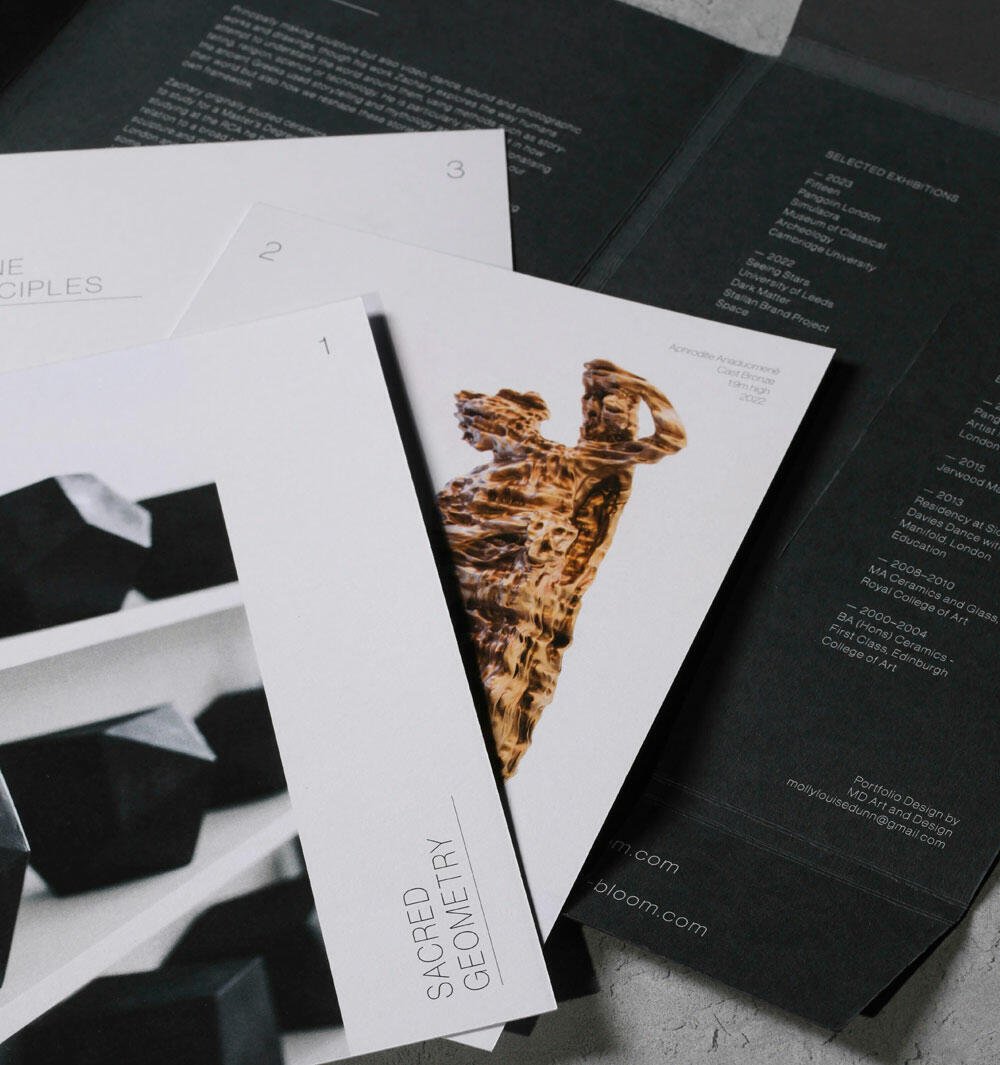 A Bunch of Brochures Sitting on Top of a Table (Demo)